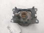 Nebelscheinwerfer Rechts Vorne 9685425280 Citroën C3 (SC) Schrägheck 5-drs 1.4 HDi (DV4TD(8HZ)) 2010-05