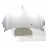 Motorhaube 7901R1 DS 3 PHASE 2 2015-06