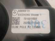 Gebläsemotor 9840566280 Peugeot 2008 (UD/UK/UR/US/UX) Großraumlimousine 1.5 BlueHDi 110 (YHS) 2021-10