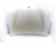 Motorhaube 7751471641 Renault Laguna II (BG) Schrägheck 5-drs 1.9 dCi 105 (F9Q-751) 2003-02