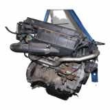 Motor DIESEL 135EJ Citroën C3 (FC/FL/FT) Schrägheck 5-drs 1.4 HDi (DV4TD(8HX)) 2004-07