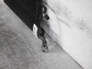 Luft-Kühler 8D0260403G Audi A4 (B5) Limousine 1.9 TDI (AJM) 2000-05