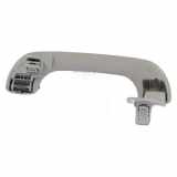 Handgriff --- Renault Zoé (AG) Schrägheck 5-drs R135 (5AQ-605) 2019-11