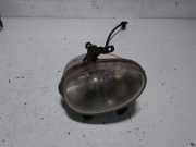 Nebelscheinwerfer Links Vorne 9220102500 Hyundai Atos Schrägheck 1.0 12V (G4HC) 2002-04