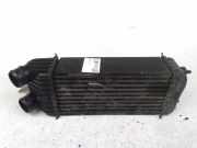 Radiator 1330P8 Citroën C3 (FC/FL/FT) Schrägheck 5-drs 1.6 HDI 16V 110 (DV6TED4(9HZ)) 2006-06