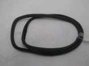 Türgummis ACHTER- Peugeot Partner Tepee (7A/B/C/D/E/F/G/J/P/S) Großraumlimousine 1.6 BlueHDi 100 (DV6FD(BHY)) 2017-07