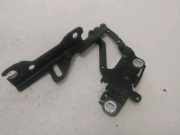 Motorhaubescharnier Rechts 41617286344 BMW 3 serie Touring (F31) Kombi 316d 2.0 16V (B47-D20A) 2016-09