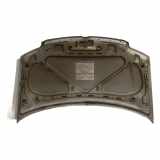 Motorhaube 51876323 Fiat Panda (169) Schrägheck 1.2 Fire (188.A.4000) 2009-10