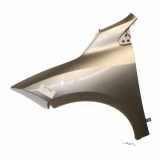 Kotflügel Links Vorne 631011470R Renault Megane III Coupe (DZ) Schrägheck 3-drs 1.9 dCi (F9Q-872(F9Q-P8)) 2009-06