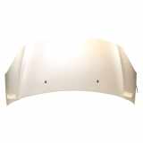 Motorhaube 7901R1 Citroën C3 (SC) Schrägheck 5-drs 1.4 HDi (DV4C(8HR)) 2013-10