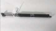 Gasdruckfeder Rechts Hinten 1T0827550C Volkswagen Touran (1T1/T2) Großraumlimousine 1.9 TDI 105 (BKC) 2005-08 BKC