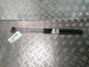 Gasdruckfeder Rechts Hinten 1747492 Ford FOCUS 3 PHASE 1 2013-11