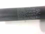 Gasdruckfeder Links Hinten 792523 Peugeot 308 CC (4B) Cabrio 2.0 HDi 16V Euro 5 FAP (DW10BTED4(RHF)) 2010-05