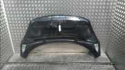 Motorhaube 651008842R Renault Scénic III (JZ) Großraumlimousine 1.5 dCi 110 (K9K-656) 2011-08