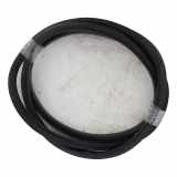 T?rgummis Rechts Vorne 808321134R Renault SCENIC 4 2018-03