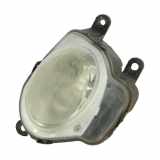 Tageslicht Fiat 500 (312) Schrägheck 1.2 69 (169.A.4000) 2009-08
