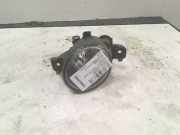 Nebelscheinwerfer Rechts Vorne 8200002470 Renault Laguna II Grandtour (KG) Kombi 5-drs 1.9 dCi 120 (F9Q-670) 2001-05