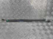 Gasdruckfeder Rechts Hinten 8731J3 Peugeot 1007 (KM) Schrägheck 3-drs 1.4 HDI (DV4TD(8HZ)) 2008-03