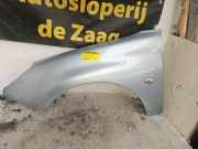 Kotflügel links vorne Peugeot 206 Schrägheck 2A/C