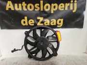 Elektrolüfter Peugeot 3008 I