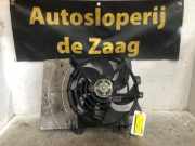 Elektrolüfter Peugeot 207 CC