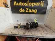 Federbein links vorne Ford Kuga