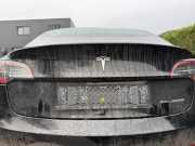 Heckklappe / Heckdeckel Tesla Model 3 5YJ3