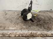 Sicherheitsgurt rechts vorne Fiat Panda 312, 319 07355808570