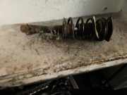 Federbein links vorne Mini Mini Countryman R60