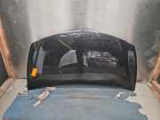 Motorhaube Renault Clio III Grandtour R