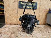 Motor ohne Anbauteile (Benzin) Ford C-Max II DXA