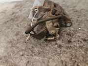 Bremszange rechts hinten Kia Picanto 2 TA