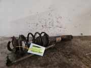 Federbein links vorne BMW X1 E84 31316851335