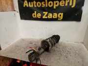 Federbein links vorne Suzuki Swift III EZ, MZ 2A1999813