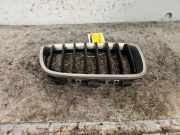 Kühlergrill BMW 1er F21