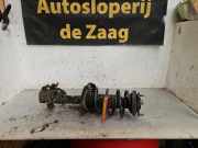 Federbein rechts vorne Honda Civic VIII FN, FK 801403000254