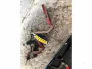 Motorhaubenscharnier Citroen C3 FC