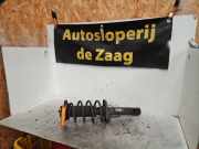 Federbein rechts vorne VW Golf V Plus 5M, 521