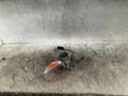 Drosselklappenstutzen Nissan Pixo UA0 52307110