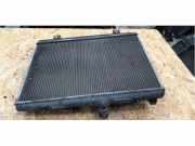 Kühler Peugeot 207 CC