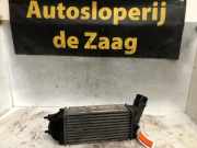 Ladeluftkühler Peugeot 307 874824KJ