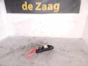 Schalter für Fensterheber links Renault Clio Grandtour IV R 254110044