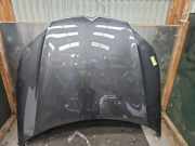 Motorhaube Citroen C5 III Break RW