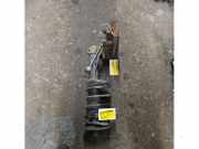 Federbein links vorne Peugeot 206 SW 2E/K
