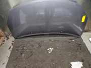 Motorhaube Renault Twingo II CN0