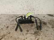 Zündspule Fiat Punto Evo 199 880091