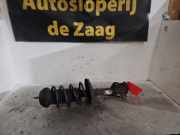 Federbein links vorne Opel Corsa D S07