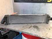 Ladeluftkühler Ford Focus II DA, DP, HCP 6G919LL440