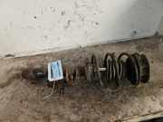 Federbein links vorne BMW Z4 E89 31316784917