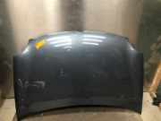 Motorhaube VW Polo IV 9N, 9A 6QE823031B